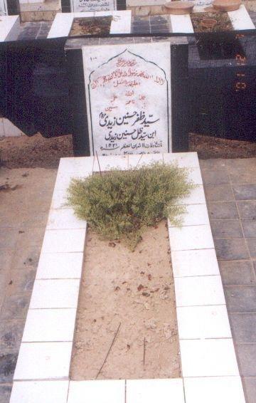 100 – Syed Zafar Hasnain Zaidi