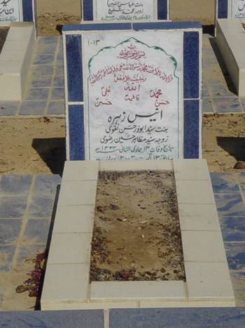 1013 – Anees Zehra