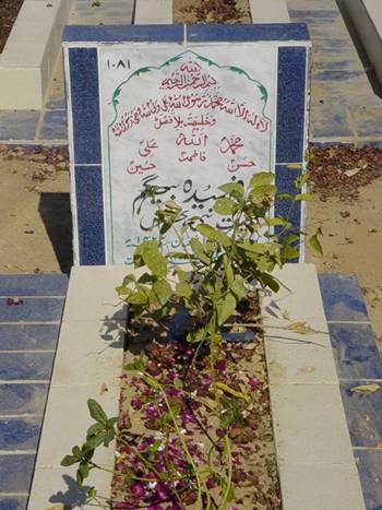 1081 – Fehmeeda Begum