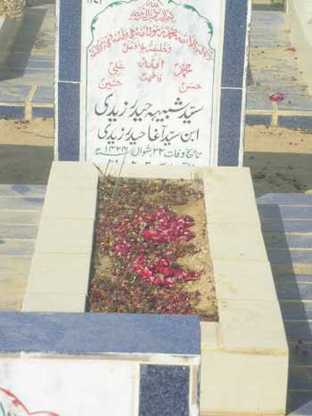 1171 – Syed Shabih haider Zaidi