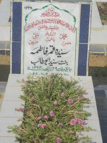 1238 – Syeda Qamar Fatima