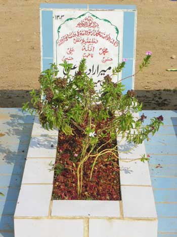 1303 – Mir Iradat Ali