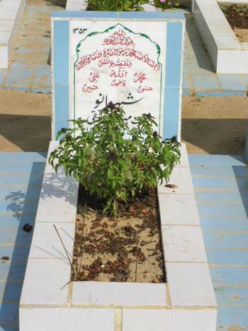 1353 – Sheher Bano