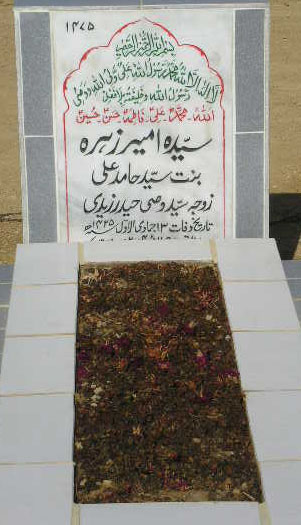 1475 – SYEDA AMEER ZEHRA