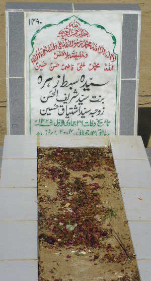 1490 – SYEDA SIBTE ZEHRA