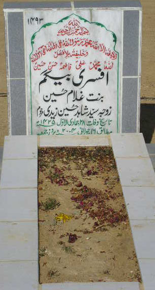 1493 – AFSARI BEGUM