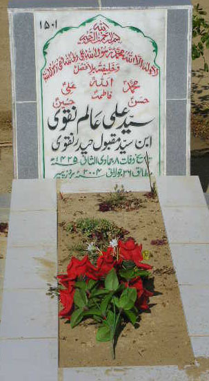 1501 – SYED ALI ABID NAQVI