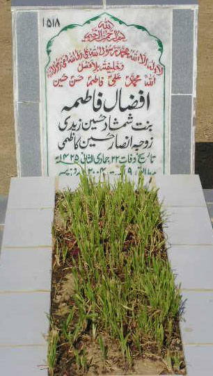 1518 – AFZAL FATIM A