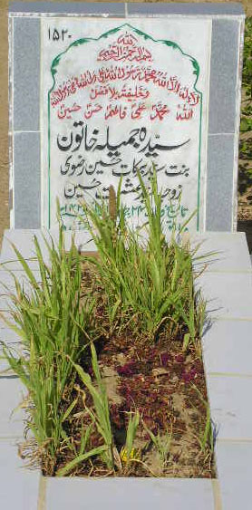 1520 – SYEDA JAMEELA KHATOON