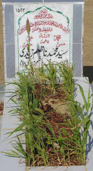 1522 – SYED MUHAMMAD NAZIM ZAIDI