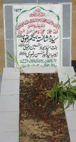 1523 – SYEDA SHAHISTA RIZVI