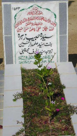 1524 – SYEDA HABIB ZEHRA