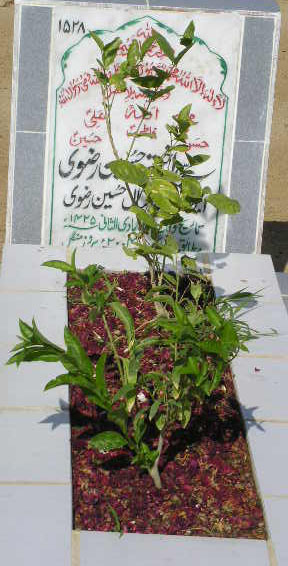 1528 – SYED AKHTER HUSSAIN