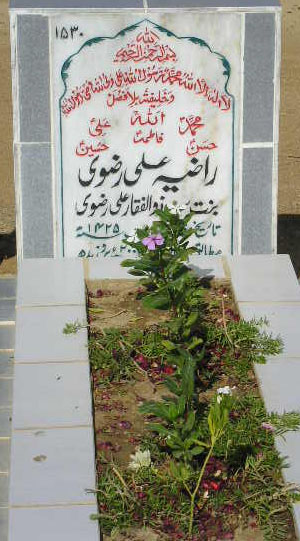 1530 – RAZIA ALI RIZVI