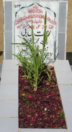 1534 – REHMAT BIBI