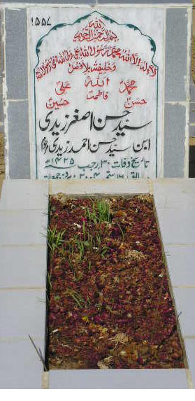 1557 – SYED HASAN ASGHAR