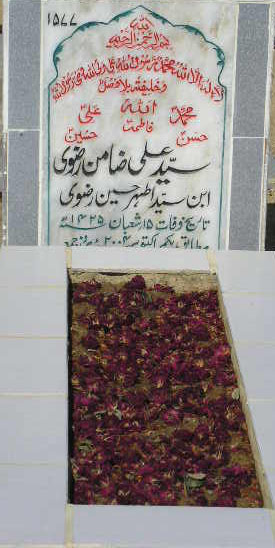 1577 – SYED ALI ZAMIN