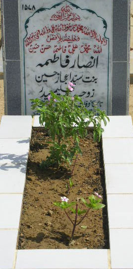 1578 – ANSAR FATIMA