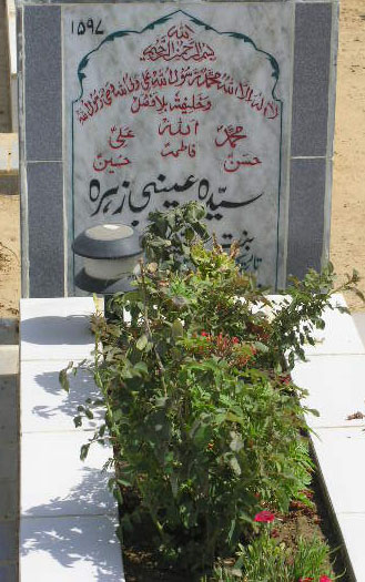 1597 – SYEDA AANIE ZEHRA