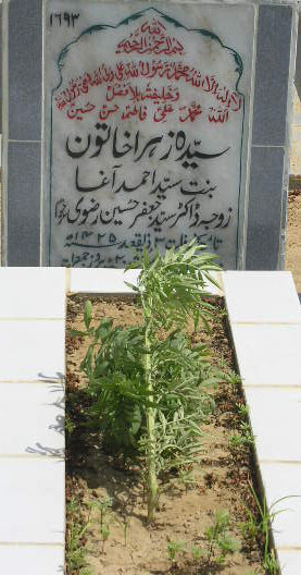 1693 – SYEDA ZEHRA KHATOON