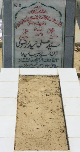 1705 – SYED ALI HAIDER RIZVI