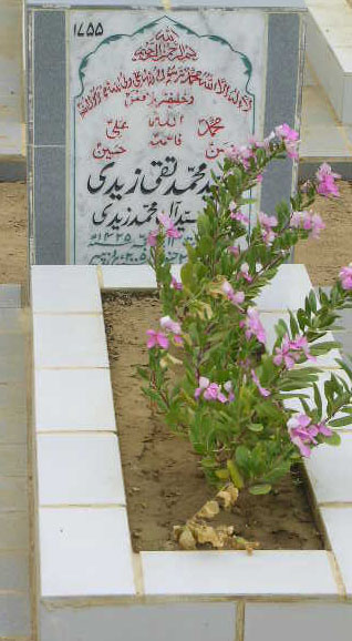 1755 – SYED MOHD TAQI ZAIDI