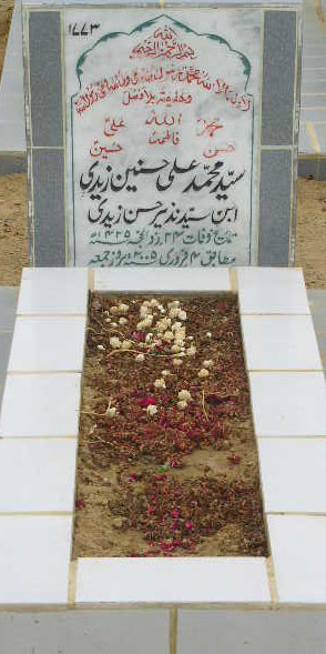 1773 – SYED MOHD ALI HASSNAIN ZAIDI