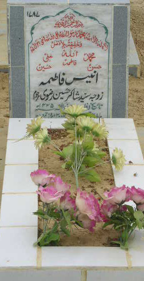 1787 – ANIS FATIMA