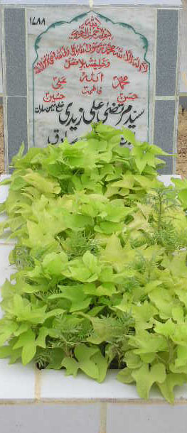 1788 – SYED MURTAZA ALI ZAIDI