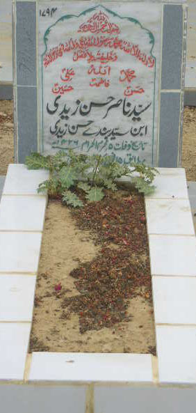 1794 – SYED NASIR HASAN ZAIDI