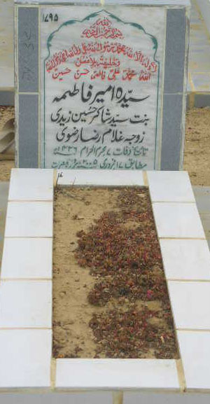 1795 – SYEDA AMEER FATIMA