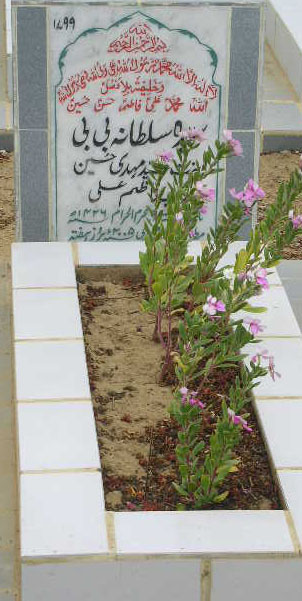 1799 – SULTANA BAGUM