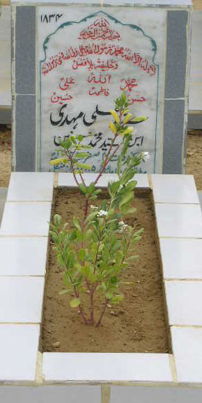 1834 – SYED ALI MEHDI