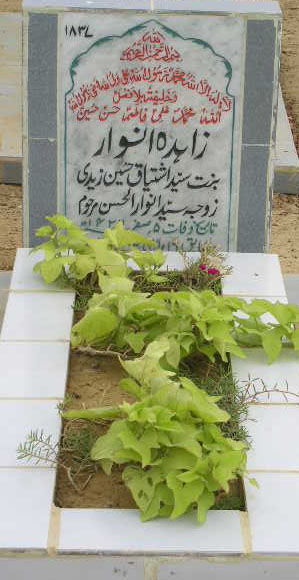 1837 – ZAHIDA ANWAR