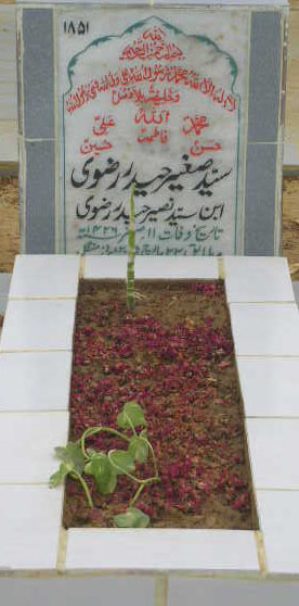 1851 – SYED SAGHIR HAIDER RIZVI