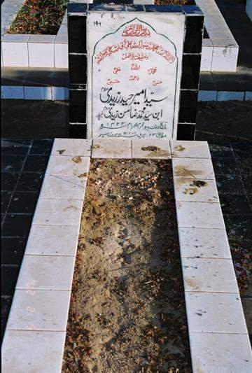 196 – Syed Ameer Haider Zaidi