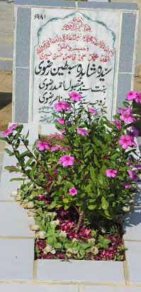 1981 – SYEDA SHAHIDA SIBTAIN RIZVI