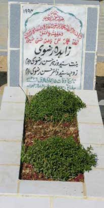 1994 – ZAHIDA RIZVI