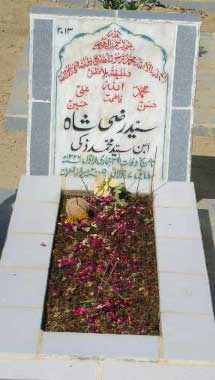 2013 – SYED RAZI SHAH