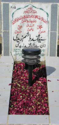 2015 – SYED MUHAMMAD HASHIM ZAIDI