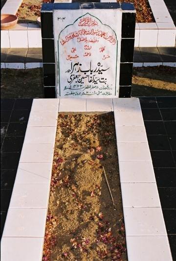 204 – Syeda Rabab Zehra