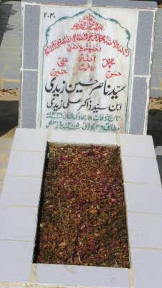 2040 – SYED NASIR HUSSAIN