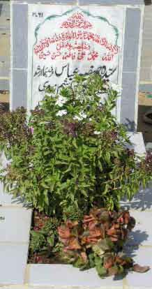 2061 – SYEDA SAFIYA ABBAS