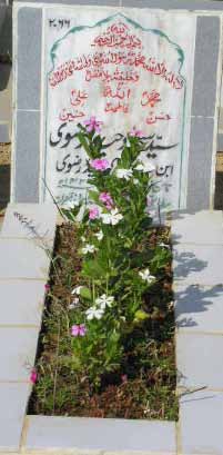 2066 – SYED SAJJAD HAIDER RIZVI