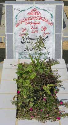 2067 – MEHAR HUSSAIN