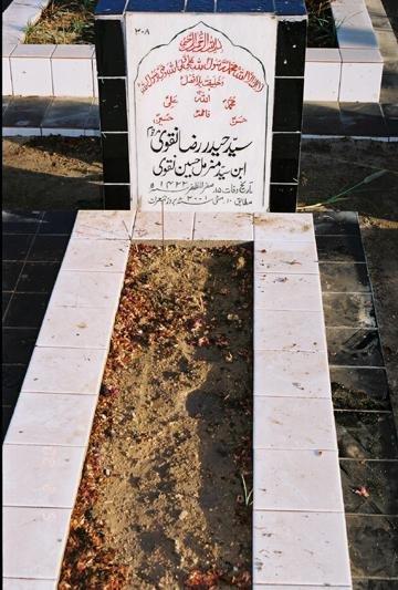 208 – Syed Haider Raza Naqvi