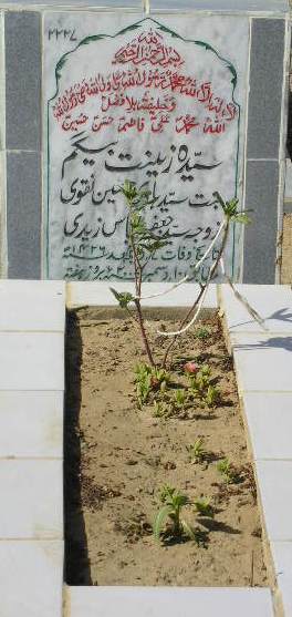 2227 – SYEDA ZEENAT BEGUM