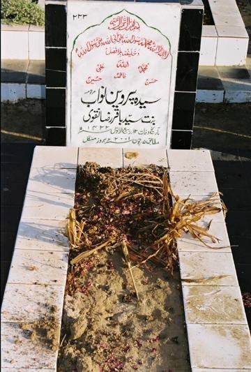 223 – Syeda Parveen Nawab