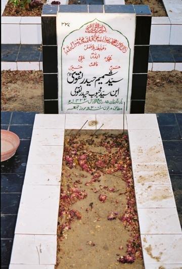 227 – Syed Shamim Haider Naqvi