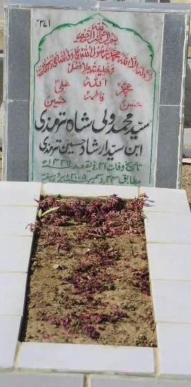 2271 – SYED MOHD WALI SHAH TERMIZI